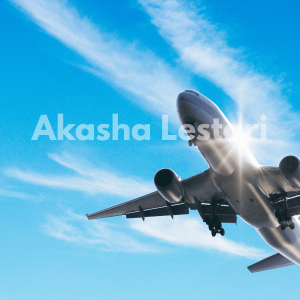 Paket Penebusan Cargo Jenazah Internasional FLEX