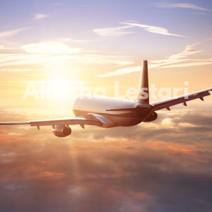 Paket Penebusan Cargo Jenazah Internasional PREMIER