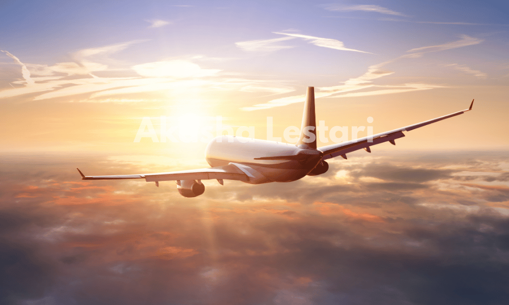 Paket Penebusan Cargo Jenazah Internasional PREMIER